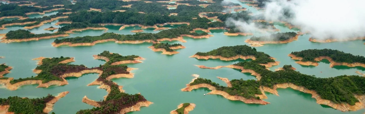 nature amazon rivers water