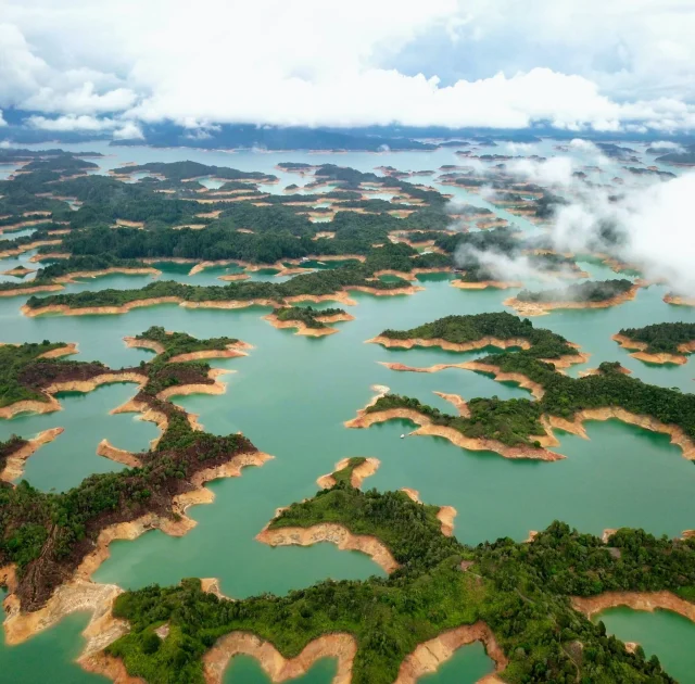nature amazon rivers water